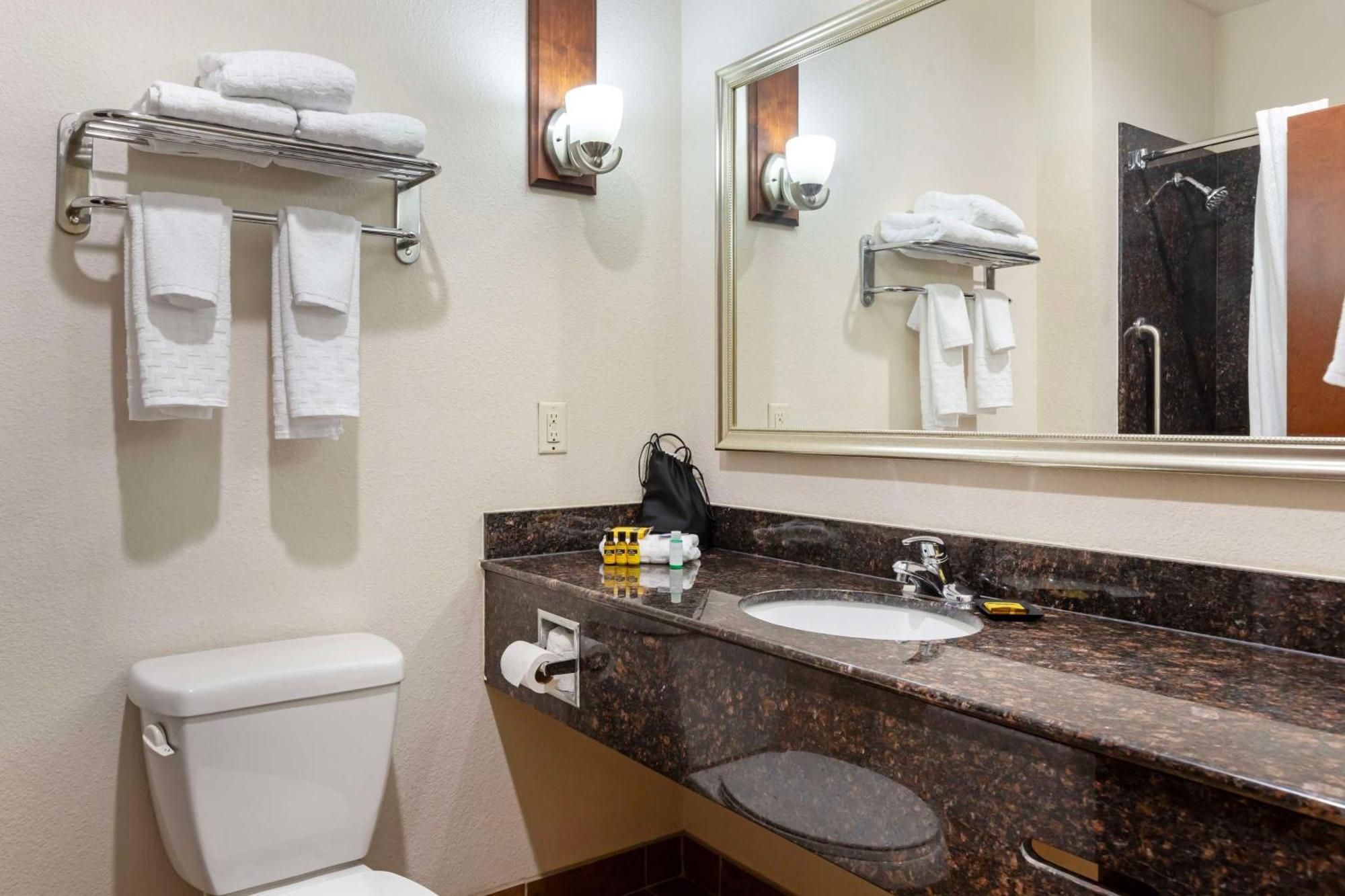Best Western Plus Greenville South Piedmont Exterior photo